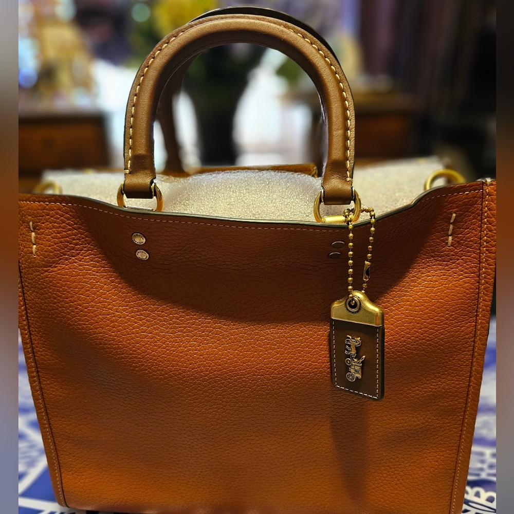 COACH BURNISHED AMBER MULTI COLORBLOCK ROGUE C8012 NWT